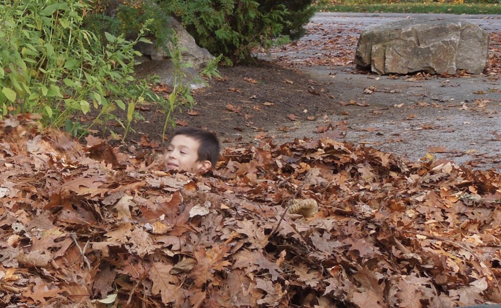 Boy playing in a pile of leaves