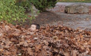 Boy playing in a pile of leaves