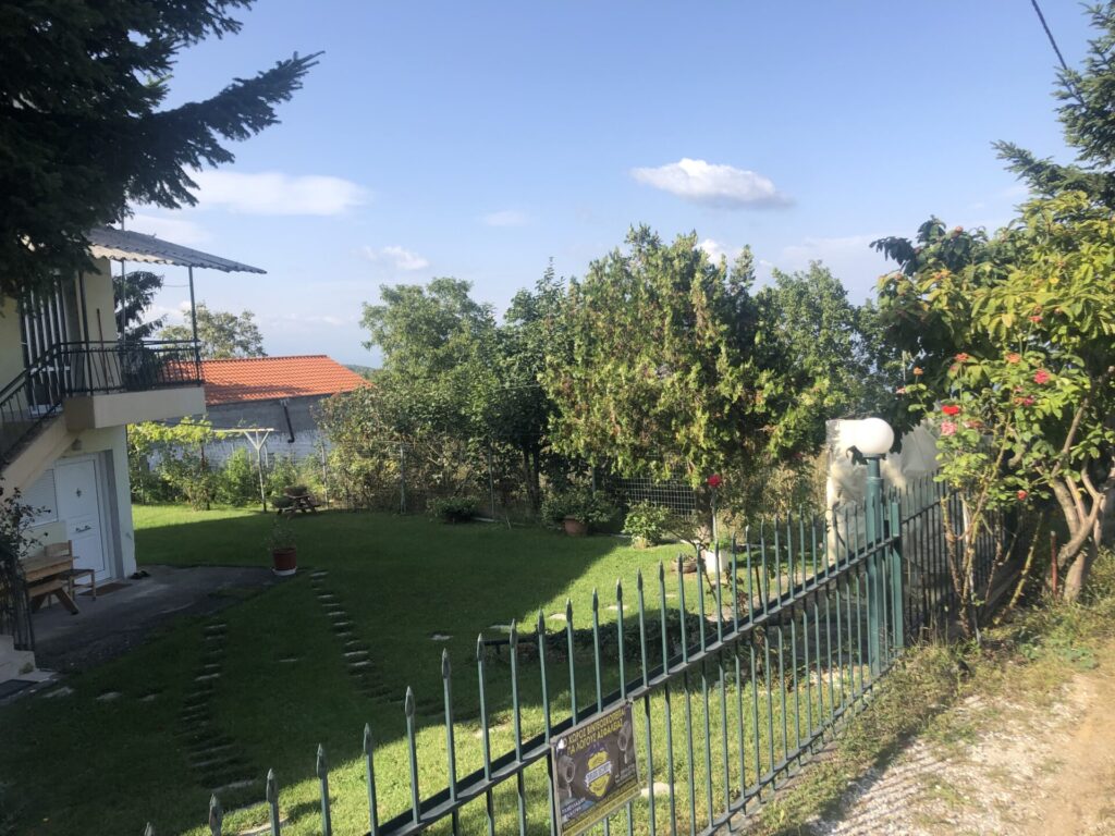 Yiayia’s old house and yard where I cut my nose open