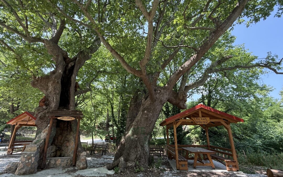 Retracing our first taxi ride with our grandson